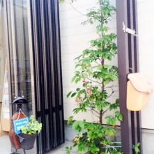 もしもの時にも安心！タカラは地震に強いお風呂なんです